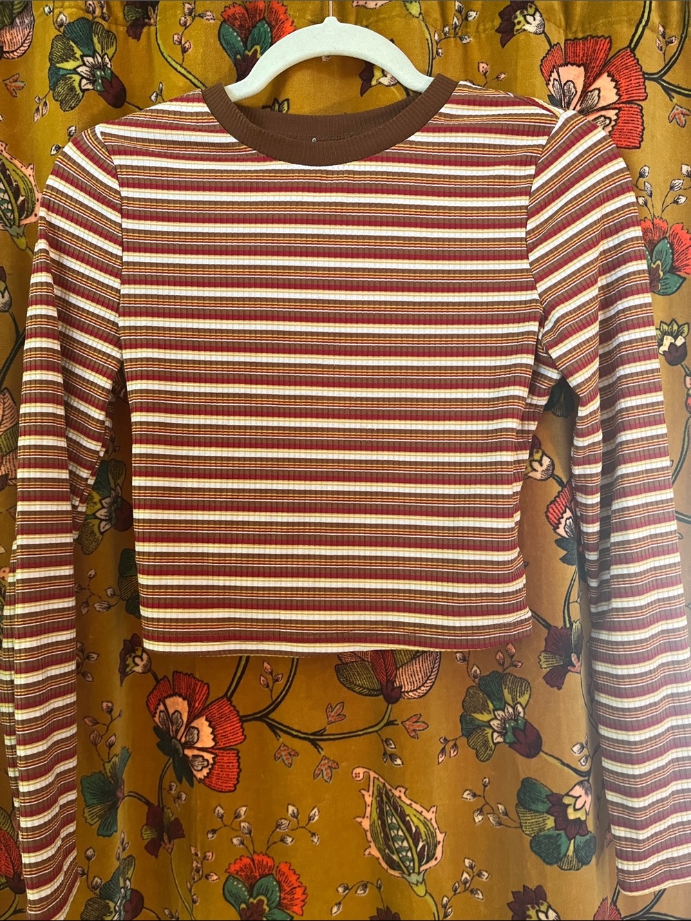 Striped Long Sleeve Crop Top in Rust, Cream & Brown